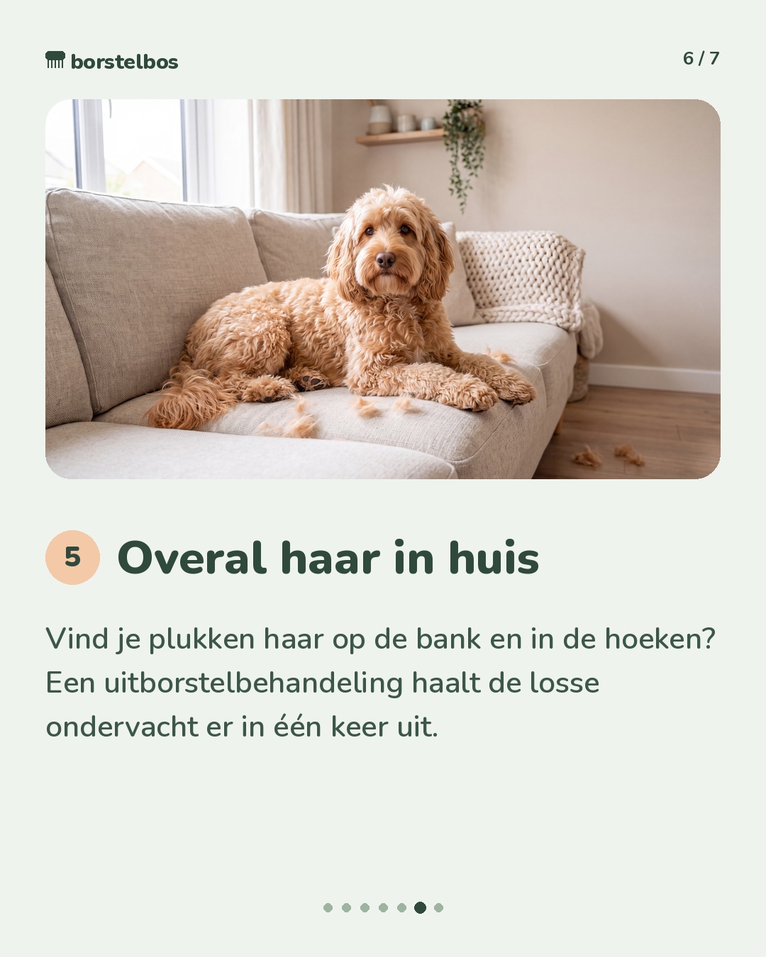 Borstelbos concept carousel, slide 6