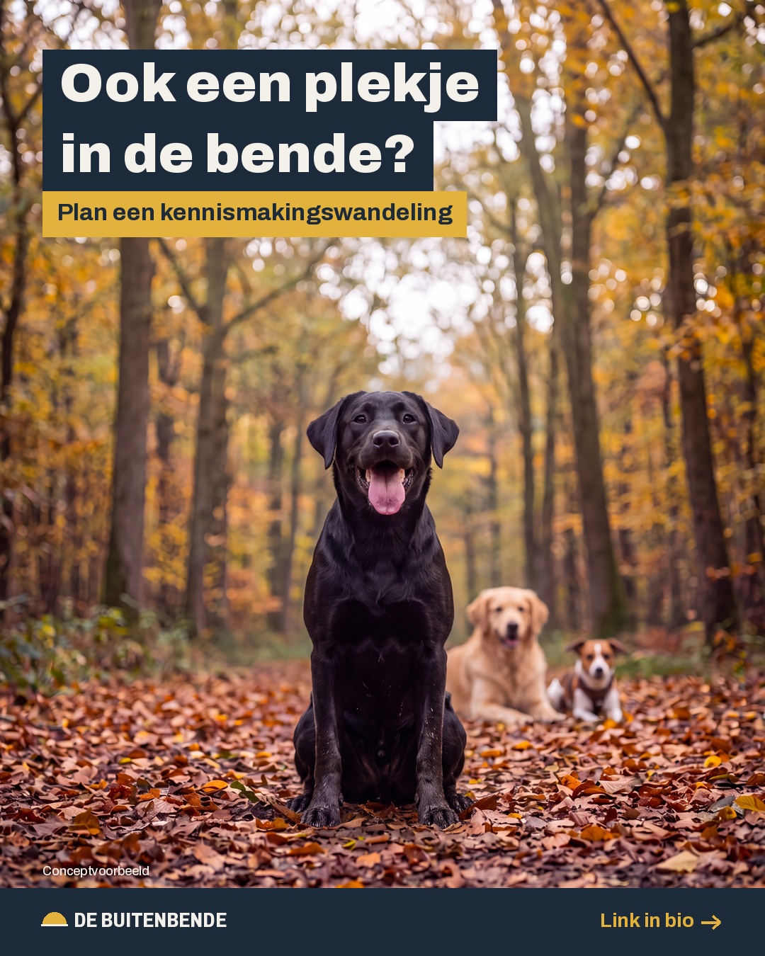 De Buitenbende concept carousel, slide 7